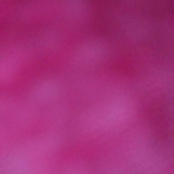 Meet your Posher, Gail - Picture 1 of 1